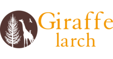 Giraffe larch（ジラフラーチ）イオンモール多摩平の森店
